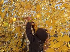 Устьян&shy;ский фили&shy;ал МБУК МФКЦ